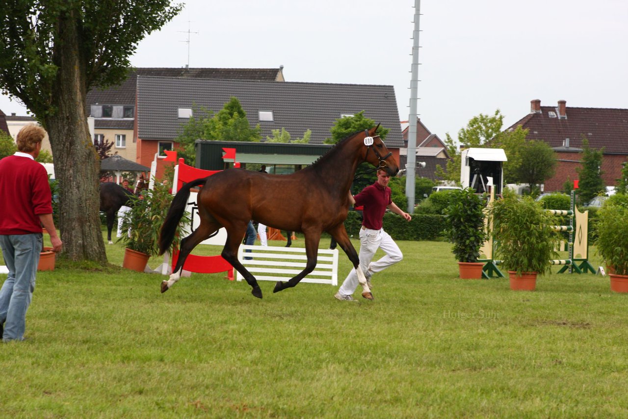 Bild 119 - Elmshorn am 9.6.10